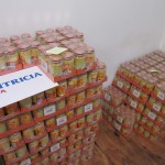 25.6.2013 – Nutricia Deva podpořila zatopená tábořiště v Jihočeském kraji