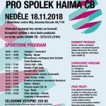 18.11.2018 – Charitativní sportovní akce pro spolek HAIMA Č.B.