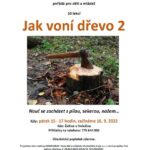 12. 8. – 15. 10. 2022 – tandemové neformální vzdělávání – Jak voní dřevo